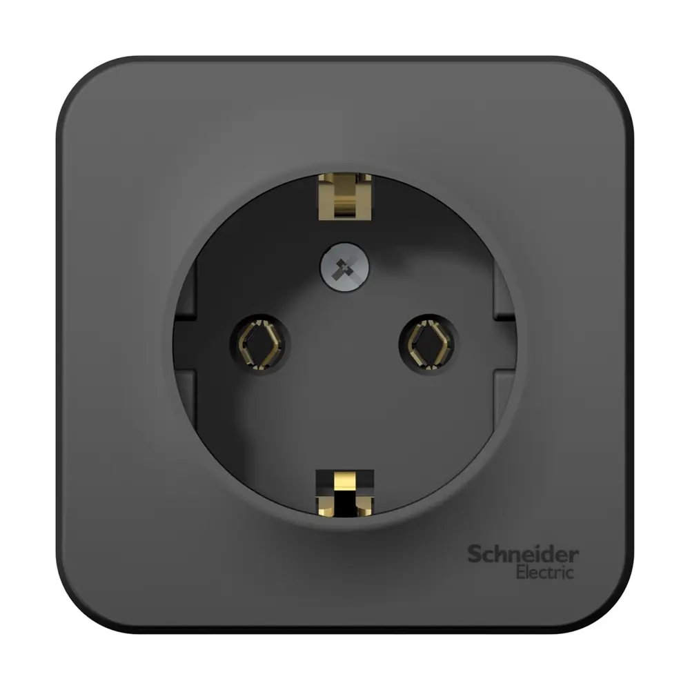 Фото Розетка встраиваемая Schneider electric Blanca BLNRA010116 с заземлением цвет антрацит Фото Розетка встраиваемая Schneider electric Blanca BLNRA010116 с заземлением цвет антрацит