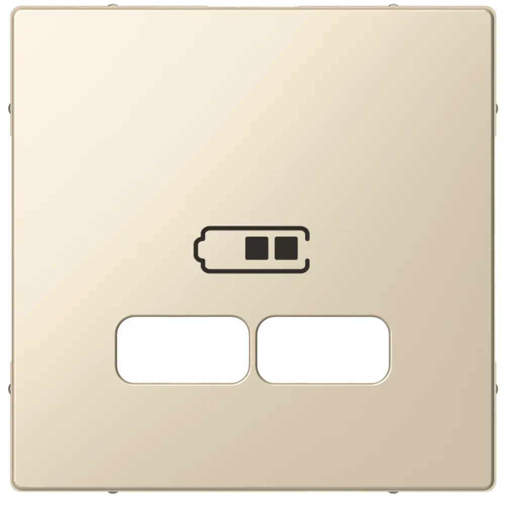 Фото Лицевая панель для USB механизма 2.1 А Schneider Electric Merten Systeme M MTN4367-0344 цвет бежевый Фото Лицевая панель для USB механизма 2.1 А Schneider Electric Merten Systeme M MTN4367-0344 цвет бежевый