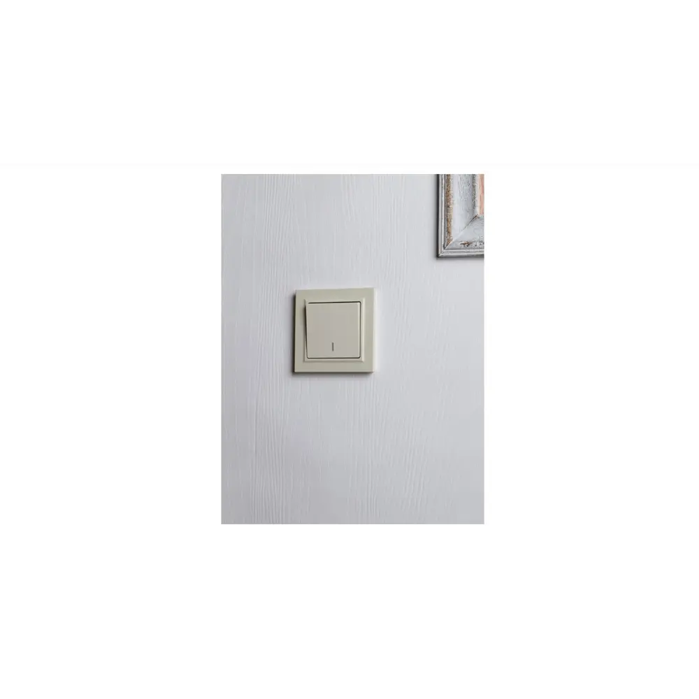 Фото 7 Выключатель проходной встраиваемый Iek Brite BR-V12-1-10-K10 1 клавиша с подсветкой цвет бежевый Фото 7 Выключатель проходной встраиваемый Iek Brite BR-V12-1-10-K10 1 клавиша с подсветкой цвет бежевый