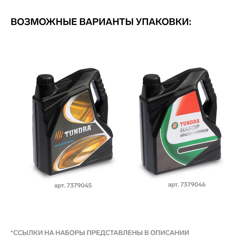 Фото 3 Набор инструментов Тундра Канистра 4506459, 21 предмет Фото 3 Набор инструментов Тундра Канистра 4506459, 21 предмет