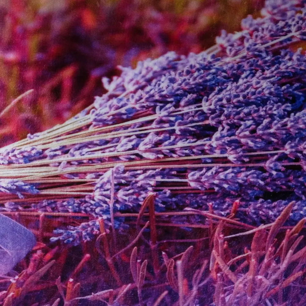 Фото 3 Ковер Этель "Лаванда" 45x120 см велюр поролон 400г/м2