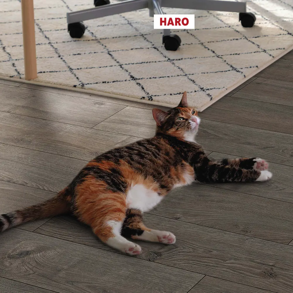 Фото 2 Ламинат Haro Дуб Портлэнд серый 32 класс толщина 8 мм с фаской 1.98 м² Фото 2 Ламинат Haro Дуб Портлэнд серый 32 класс толщина 8 мм с фаской 1.98 м²