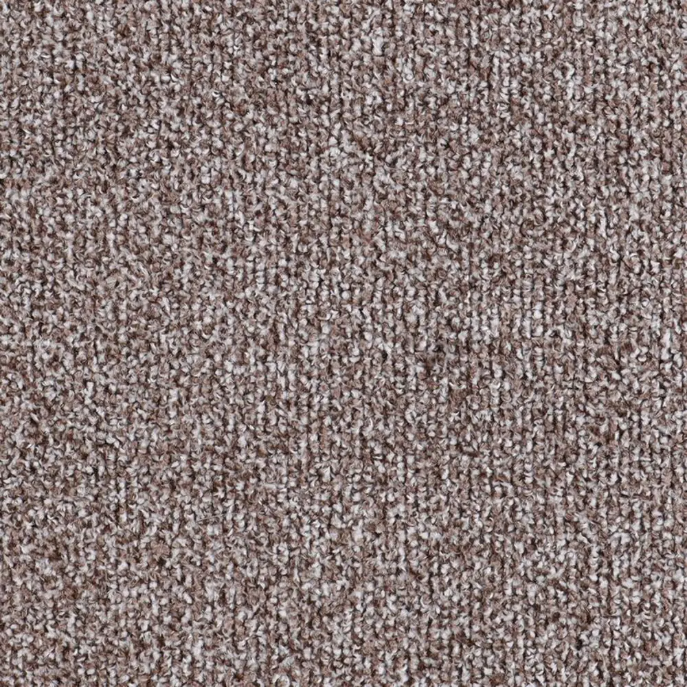 Фото 2 Ковер Белка Сегура Frize 03_011_28000000 85x150 см Фото 2 Ковер Белка Сегура Frize 03_011_28000000 85x150 см