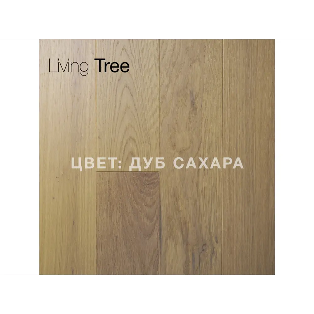 Фото 4 Паркет Living Tree Дуб Сахара Рустик толщина 12 мм с фаской 1.94 м², цена за упаковку Фото 4 Паркет Living Tree Дуб Сахара Рустик толщина 12 мм с фаской 1.94 м², цена за упаковку