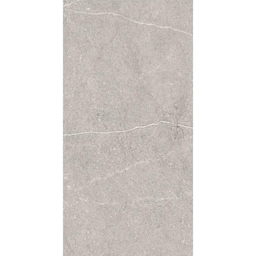 Фото 3 Керамогранит Arcadia Ceramica Eqistone Gris RG6001-A 60x120см цвет светло-серый Фото 3 Керамогранит Arcadia Ceramica Eqistone Gris RG6001-A 60x120см цвет светло-серый