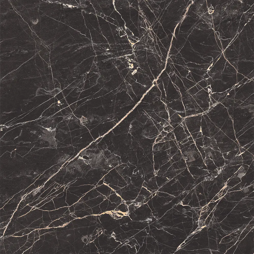 Фото 6 Керамогранит Laparet Black arkadia х9999281086 kra 60x60см цвет черный Фото 6 Керамогранит Laparet Black arkadia х9999281086 kra 60x60см цвет черный