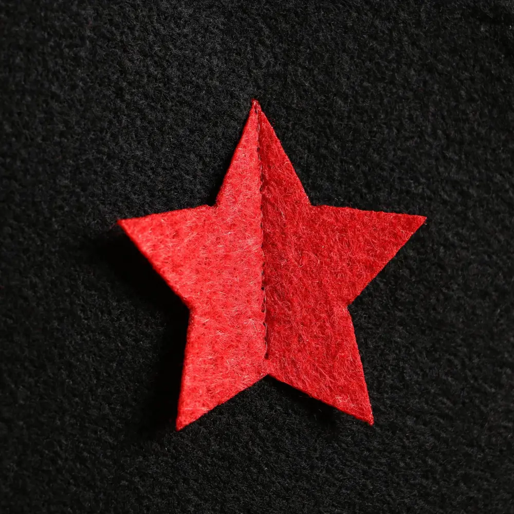 Фото 2 Набор банный портфель тёмный шапка коврик рукавица \Буденовец\