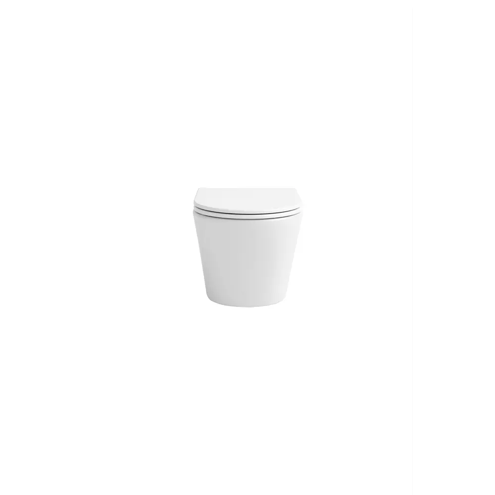 Фото 3 Унитаз подвесной Avimano Intuition 1000071 безободковый с сиденьем микролифт