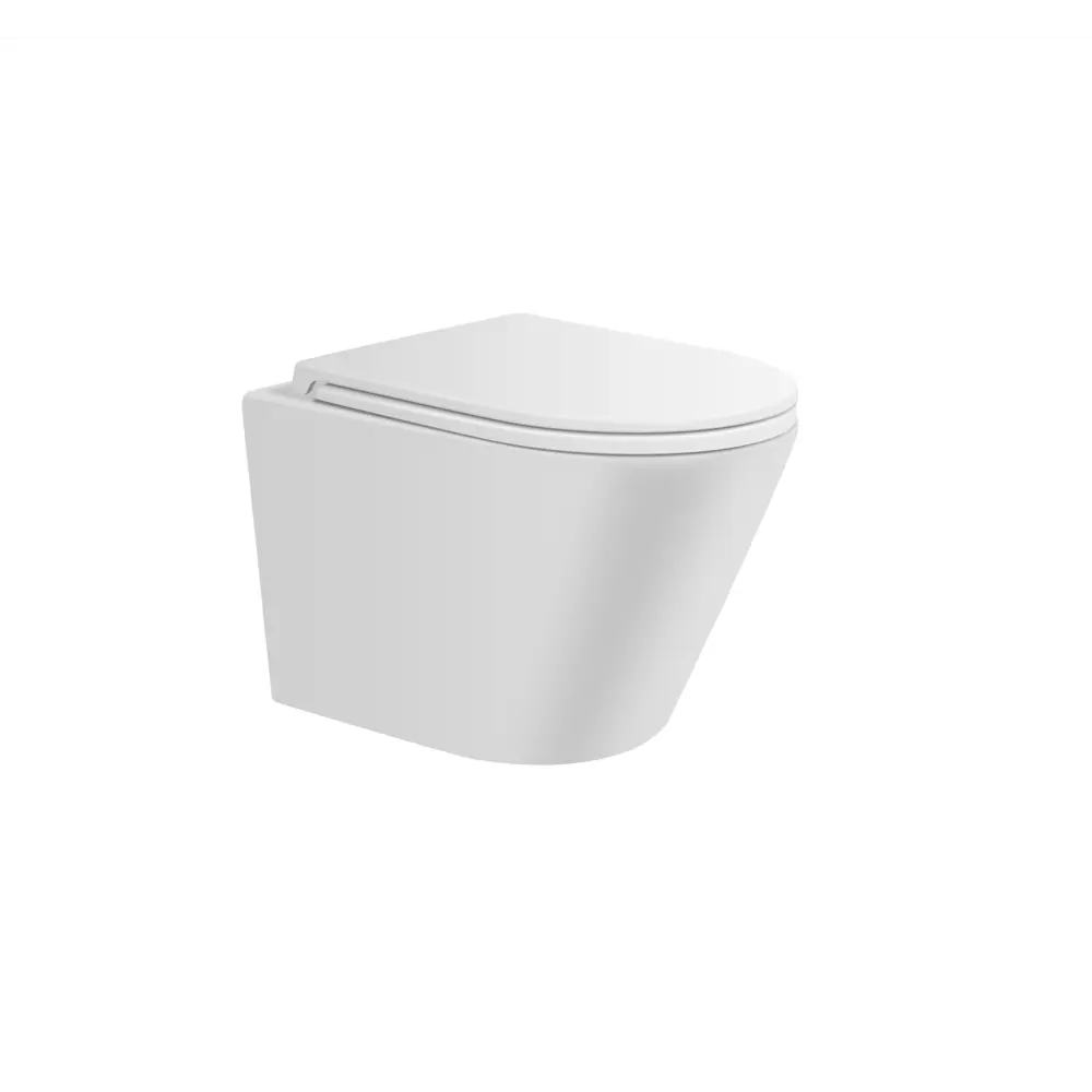 Фото 2 Унитаз подвесной Avimano Intuition 1000071 безободковый с сиденьем микролифт