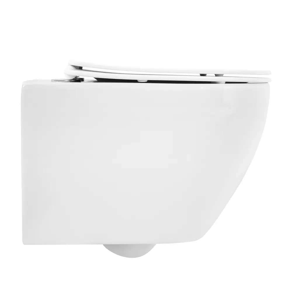 Фото Чаша подвесного Cezares Stylus Czr-513-Th-R безободковый Фото Чаша подвесного Cezares Stylus Czr-513-Th-R безободковый