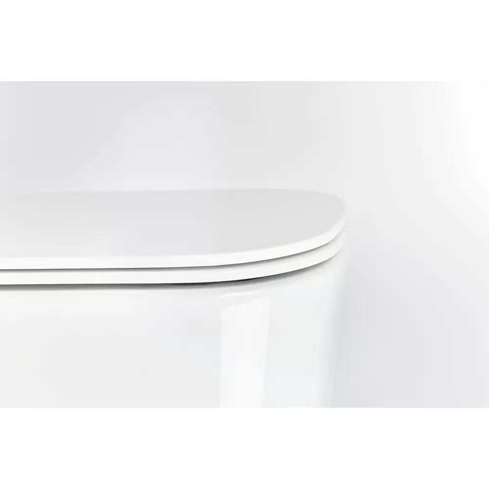 Фото 8 Комплект инсталляция с унитазом Valsir KIT Vscr 5486 Slim P1 с кнопкой цвет хром Фото 8 Комплект инсталляция с унитазом Valsir KIT Vscr 5486 Slim P1 с кнопкой цвет хром