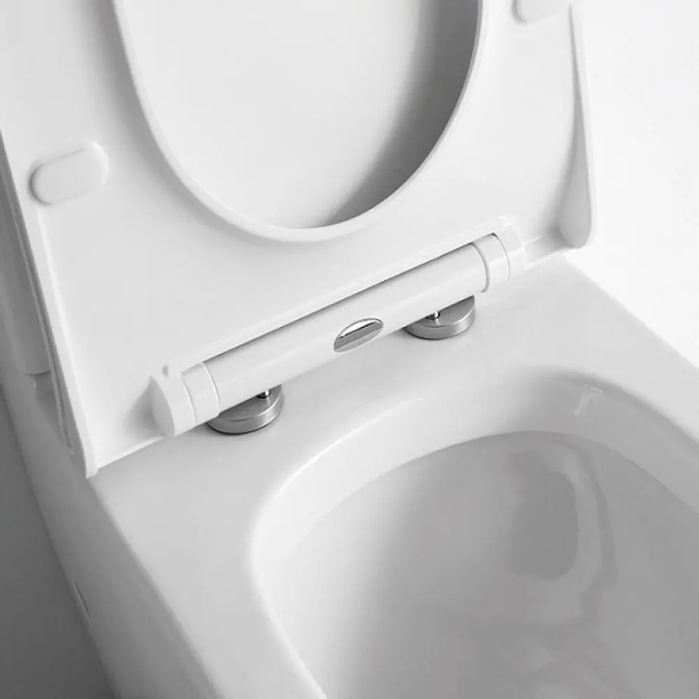Фото 6 Унитаз-компакт Ceramalux NS-2176 горизонтальный выпуск двойной слив Фото 6 Унитаз-компакт Ceramalux NS-2176 горизонтальный выпуск двойной слив