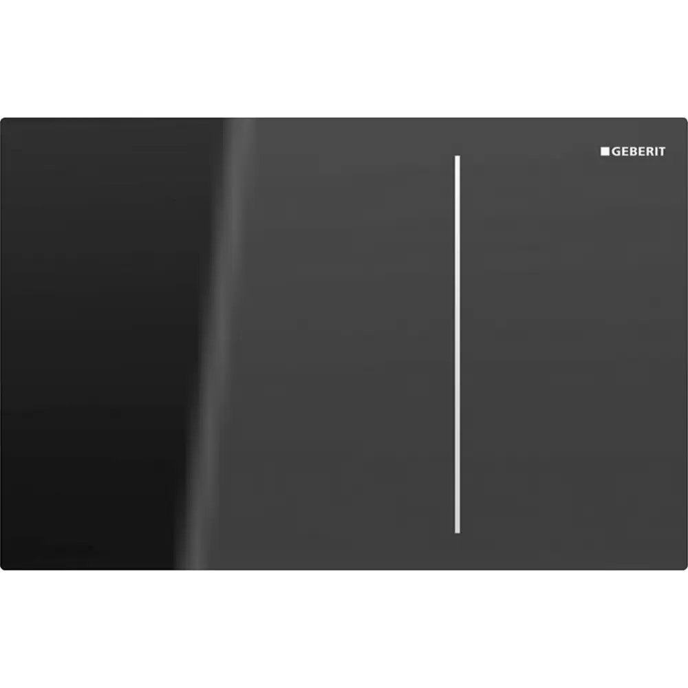 Фото Панель смыва Geberit 115.620.JK.1 цвет серый Фото Панель смыва Geberit 115.620.JK.1 цвет серый