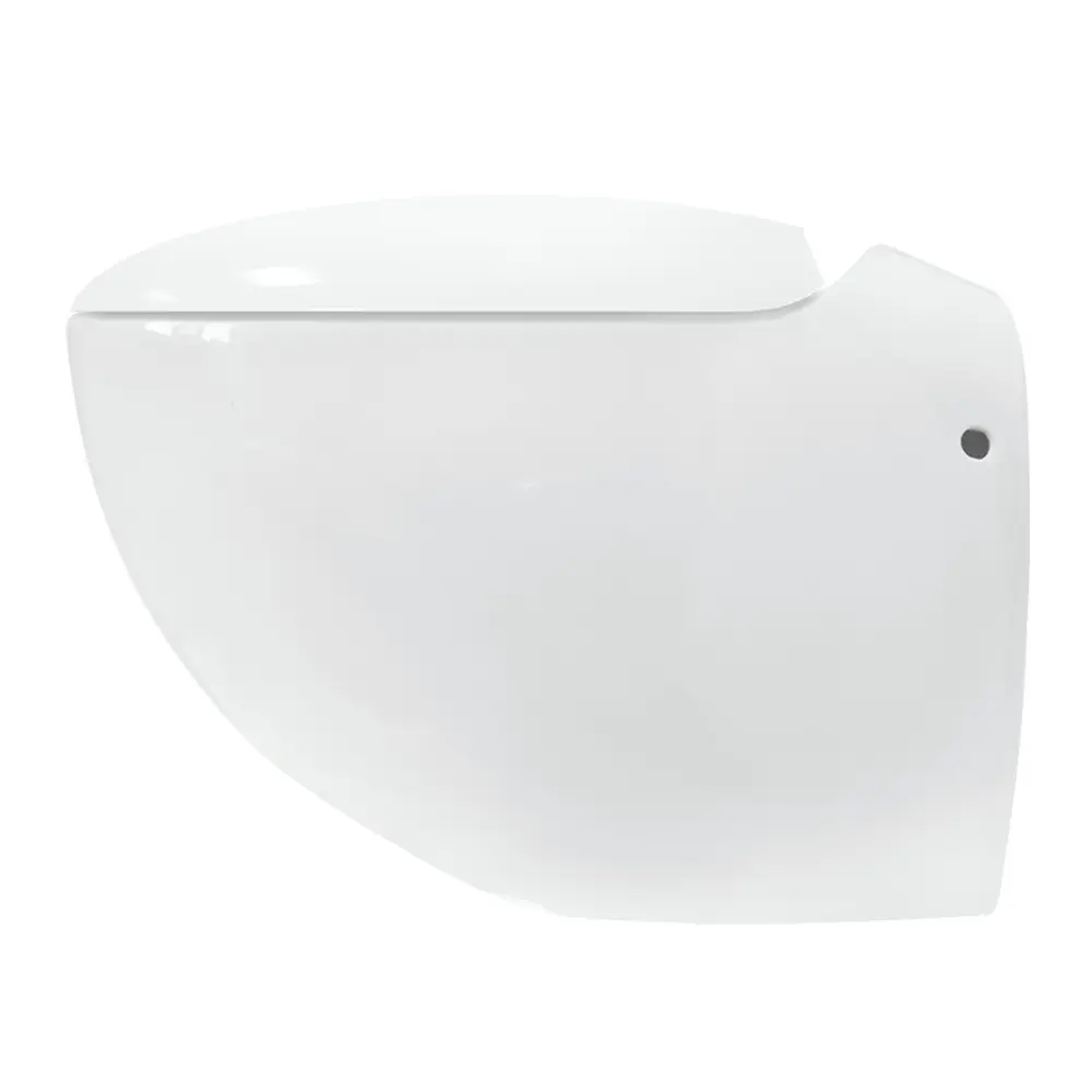 Фото 3 Унитаз подвесной Sanita luxe Ringo WC.WH/Ringo/DM/WHT.G/S1 с сиденьем микролифт Фото 3 Унитаз подвесной Sanita luxe Ringo WC.WH/Ringo/DM/WHT.G/S1 с сиденьем микролифт