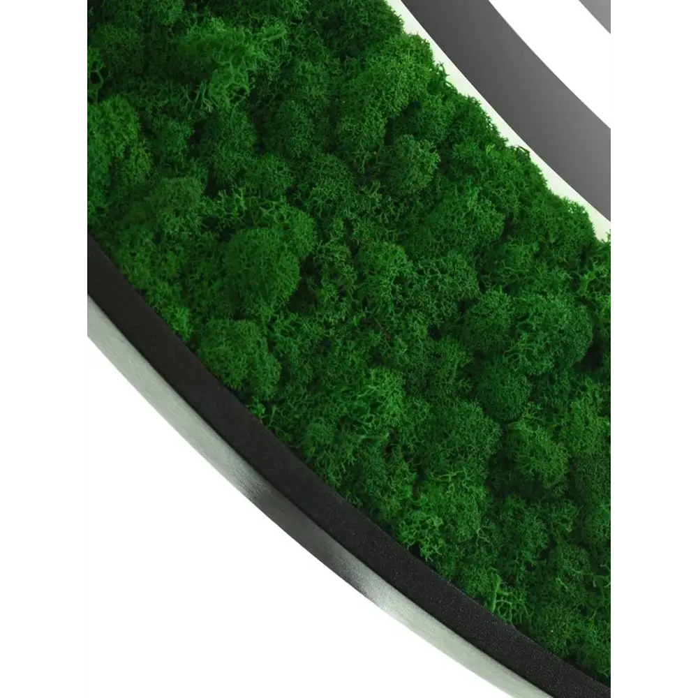 Фото 4 Зеркало для ванной комнаты Континент Forest Led 4660124906372 80x80см прямоугольное Фото 4 Зеркало для ванной комнаты Континент Forest Led 4660124906372 80x80см прямоугольное