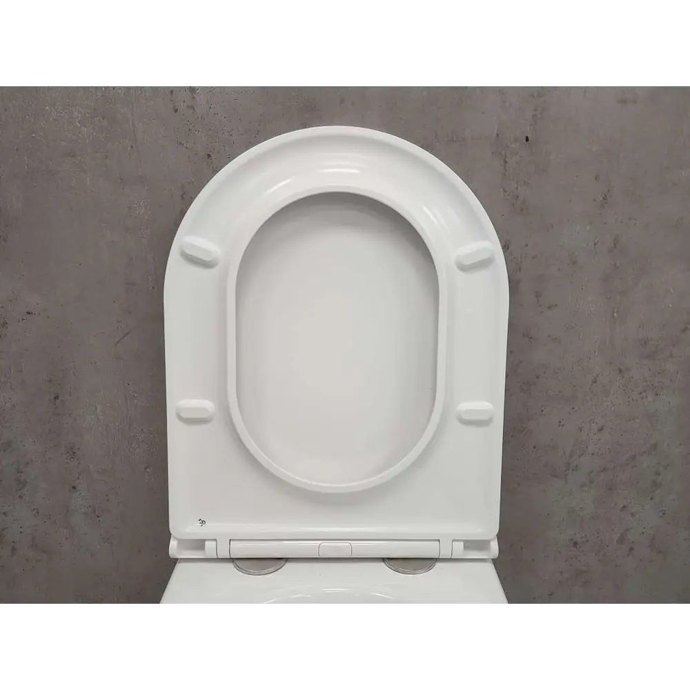 Фото 7 Унитаз подвесной Bloomix Axel 2.0 Ceramic+ Т12201R безободковый с сиденьем микролифт