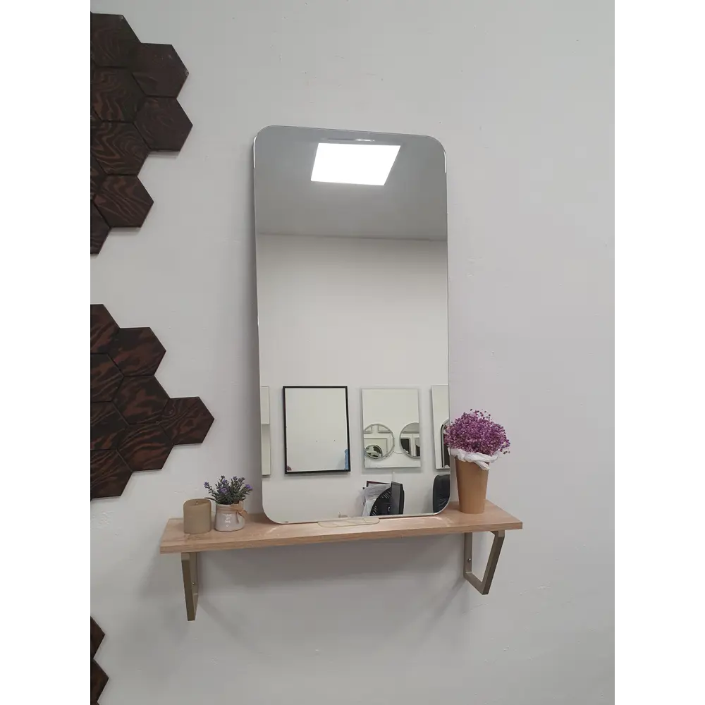 Фото 2 Зеркало для ванной Alfa mirrors Olga 459 Ol-459AVzVh с подсветкой 40x90см