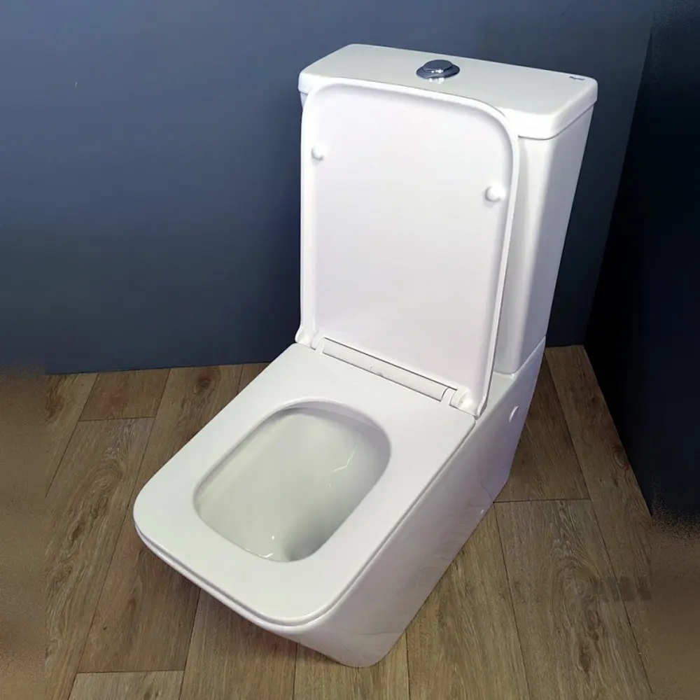 Фото 2 Унитаз-компакт Teymi MS-178467 горизонтальный двойной слив Фото 2 Унитаз-компакт Teymi MS-178467 горизонтальный двойной слив