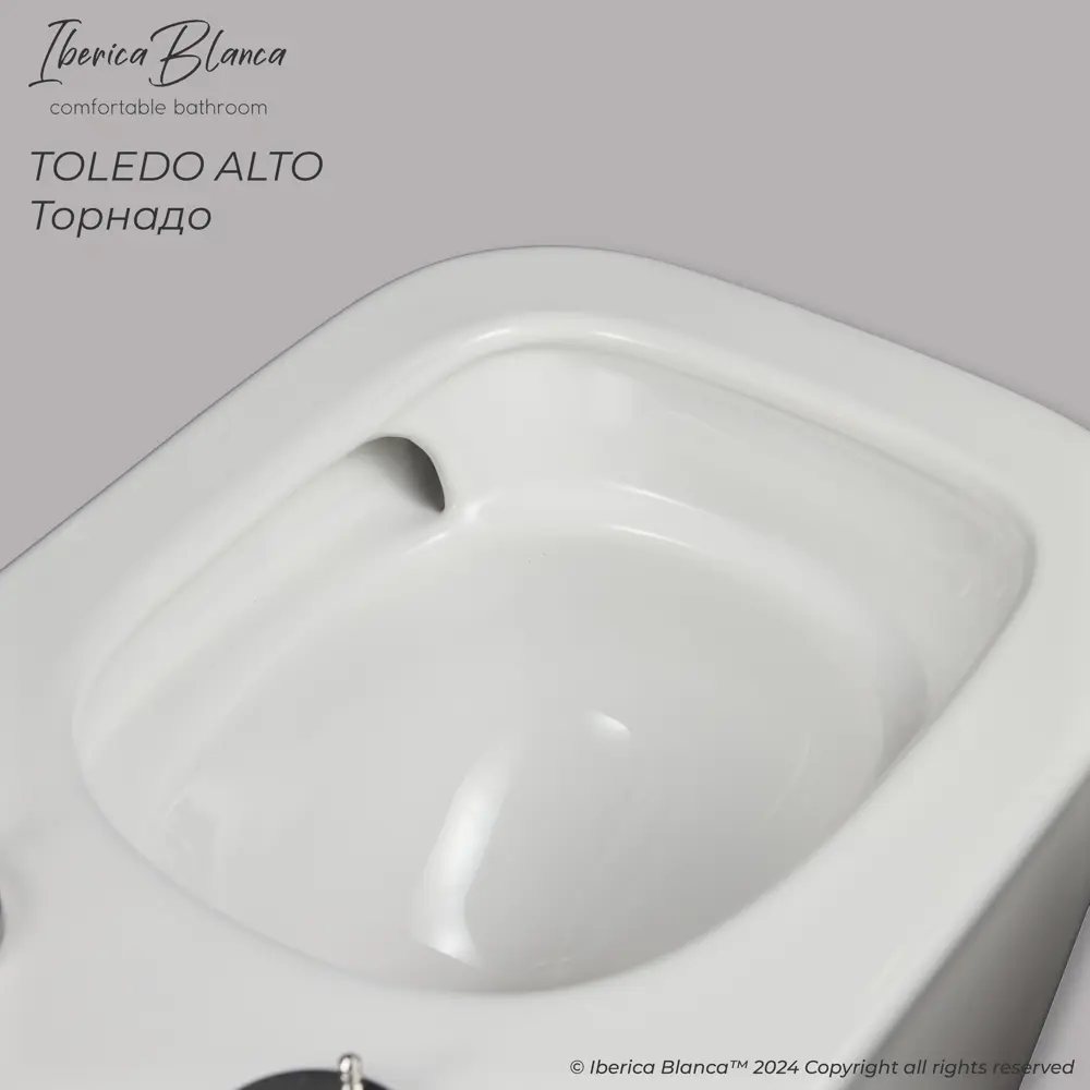 Фото 5 Унитаз подвесной белый IBERICA BLANCA TOLEDO ALTO тонкое сидение дюропласт, soft close Фото 5 Унитаз подвесной белый IBERICA BLANCA TOLEDO ALTO тонкое сидение дюропласт, soft close