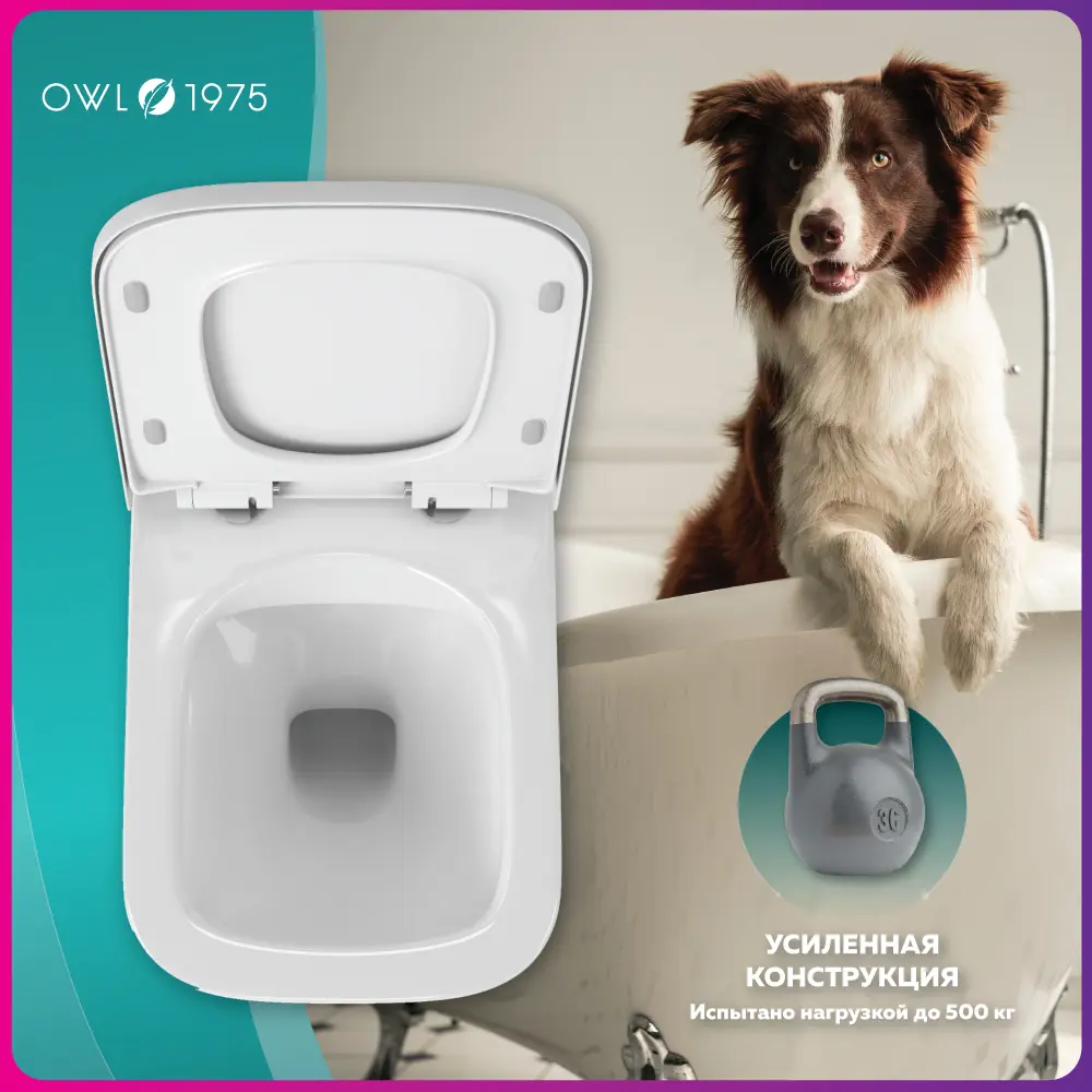 Фото 6 Унитаз подвесной Owl 1975 004K безободковый с сиденьем микролифт Фото 6 Унитаз подвесной Owl 1975 004K безободковый с сиденьем микролифт