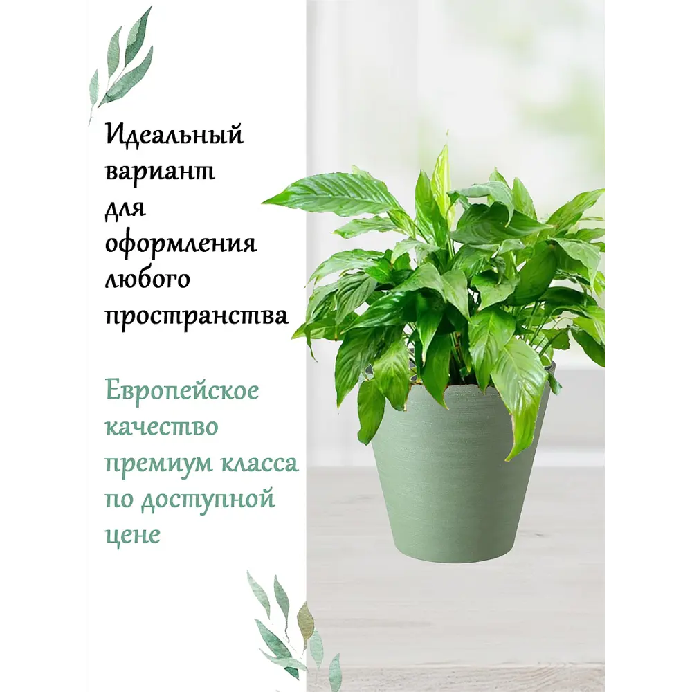 Фото 4 Кашпо 33703016239 Teraplast 16 см 1.6 л пластик мультиколор Фото 4 Кашпо 33703016239 Teraplast 16 см 1.6 л пластик мультиколор