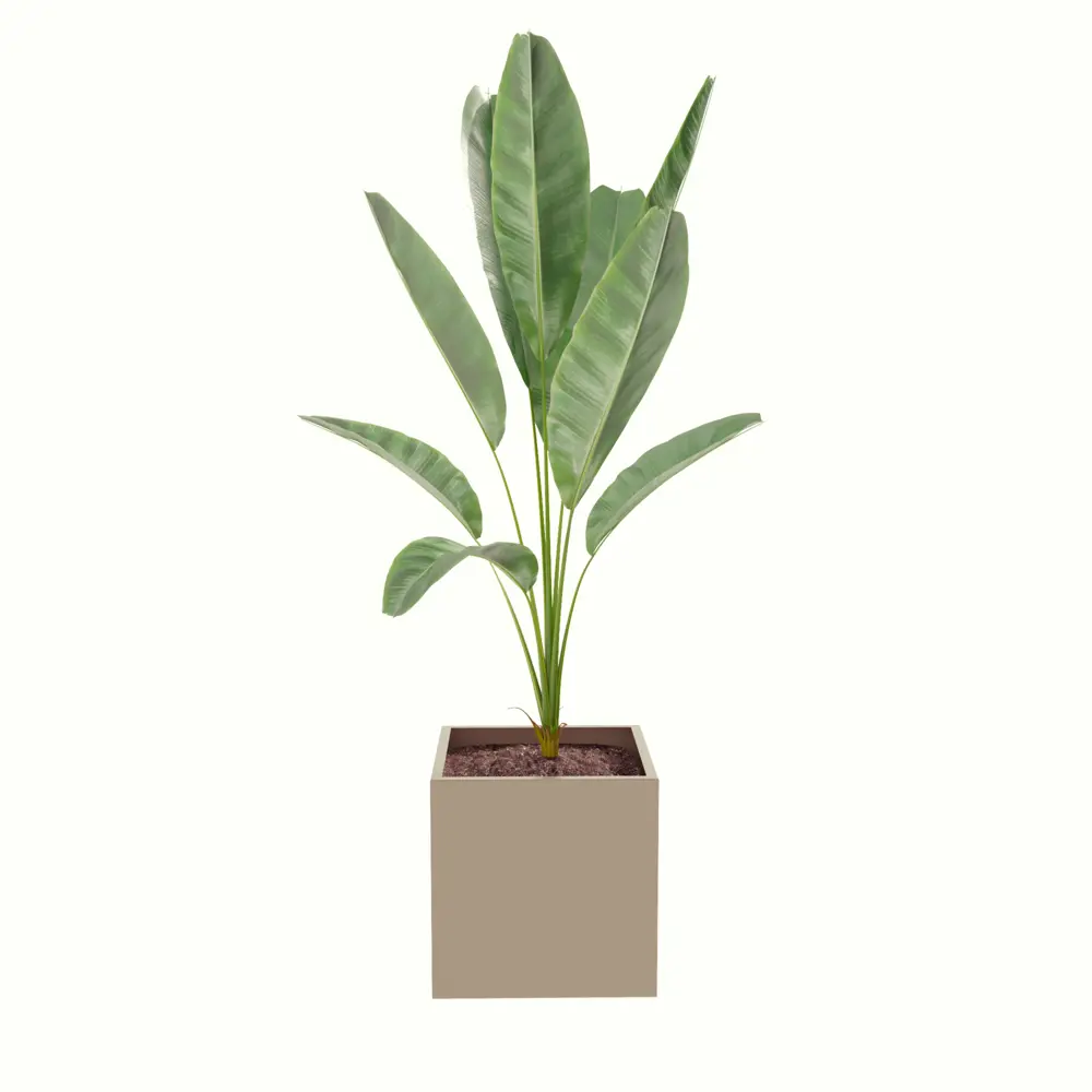 Фото 2 Кашпо 1020107 Tempache 30 см 27 л сталь бежевый