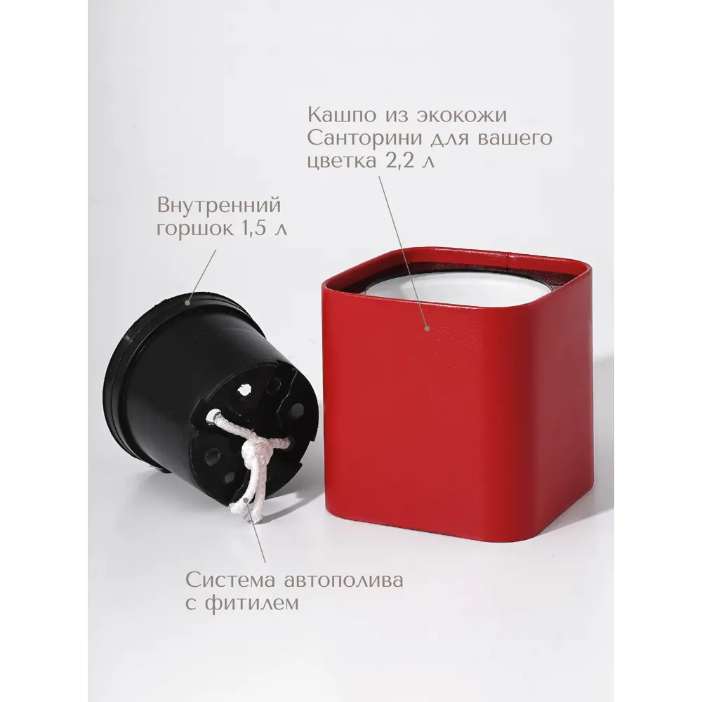 Фото 2 Кашпо Cubo Rompicato 17 см 2.2 л экокожа красный Фото 2 Кашпо Cubo Rompicato 17 см 2.2 л экокожа красный