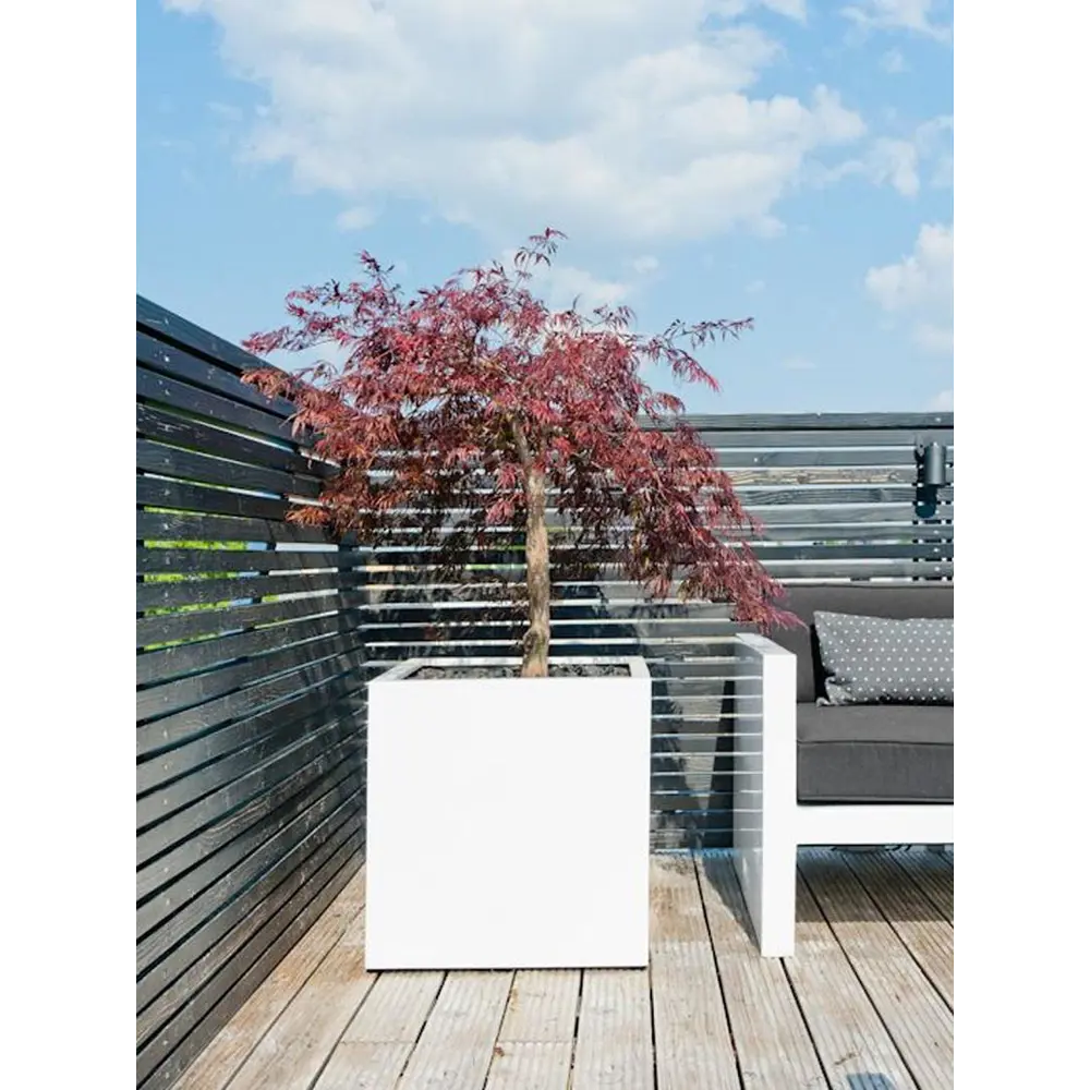 Фото 5 Кашпо P1002-40-90 Pottery pots 40 см 61.6 л композитный бежевый Фото 5 Кашпо P1002-40-90 Pottery pots 40 см 61.6 л композитный бежевый