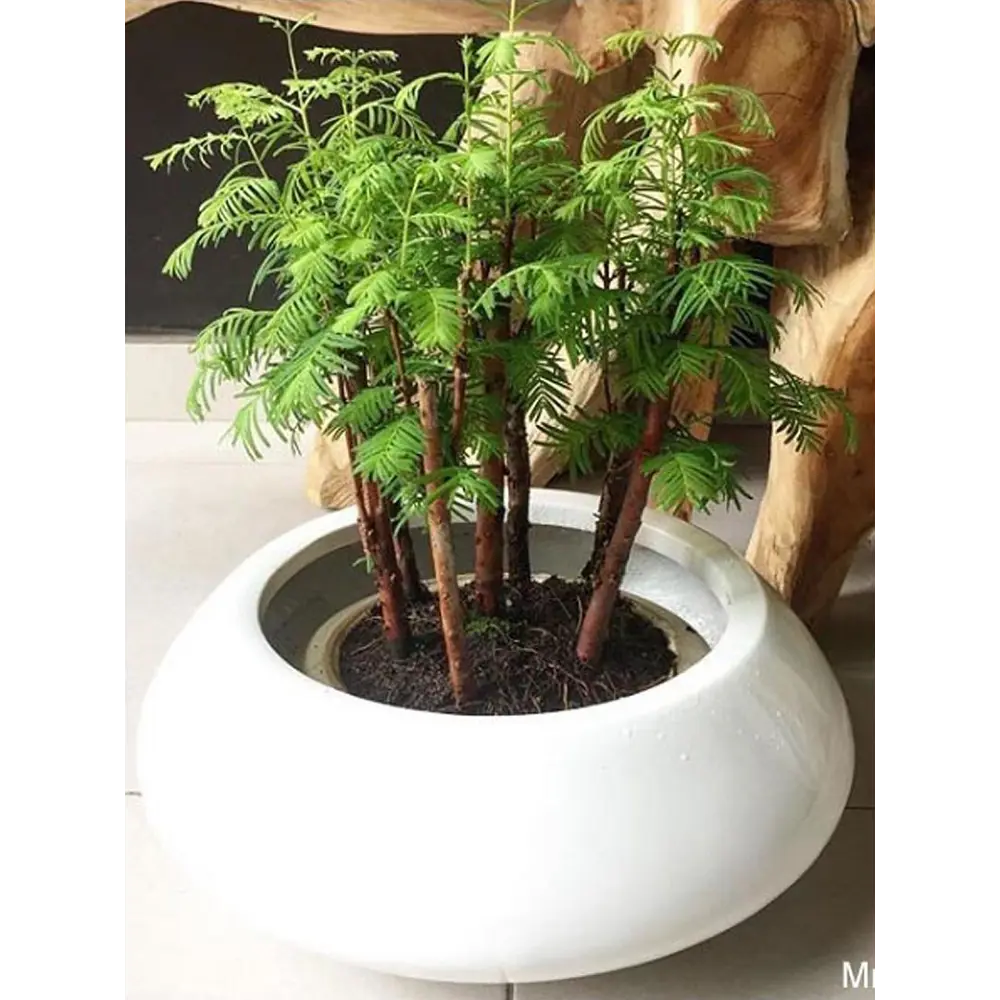 Фото 4 Горшок цветочный E1144-S1-W Pottery pots 60 см 35 л композитный белый
