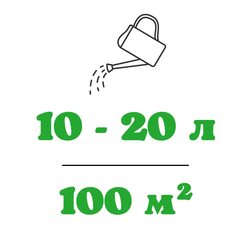 Фото 2 Семена газона Зеленый квадрат Теневой 8 кг x 2 шт 16 кг Фото 2 Семена газона Зеленый квадрат Теневой 8 кг x 2 шт 16 кг