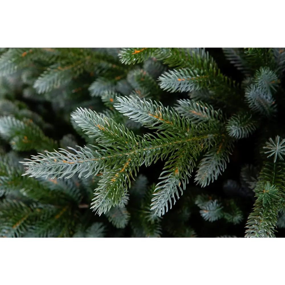 Фото 4 Ель новогодняя искусственная Crystal trees KP5060 Изумрудная эдит 60 см Фото 4 Ель новогодняя искусственная Crystal trees KP5060 Изумрудная эдит 60 см