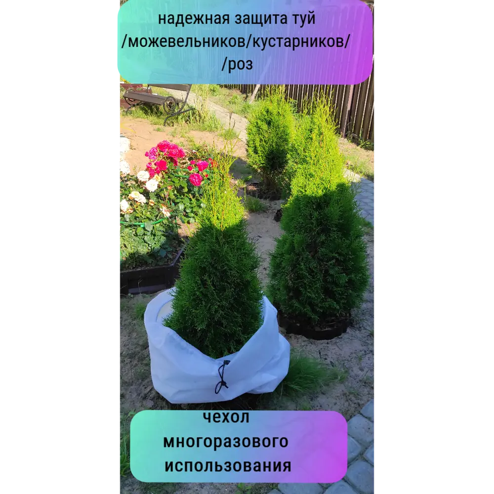 Фото 6 Зимний чехол для кустов и деревьев Autopremium с затяжкой 200x80 см 1 шт