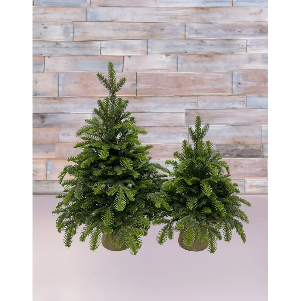 Фото 4 Ель новогодняя искусственная Black box 74628 Таежная 60 см Фото 4 Ель новогодняя искусственная Black box 74628 Таежная 60 см