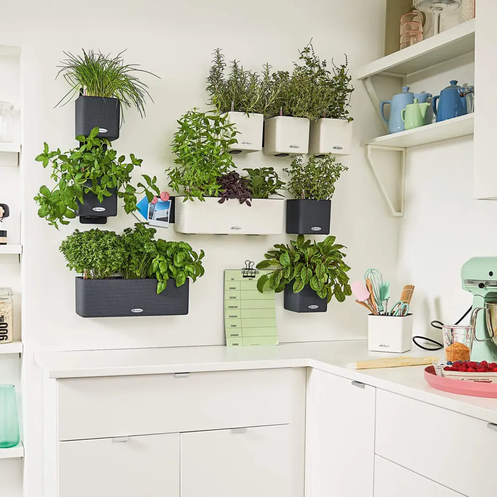 Фото 3 Комплект кашпо с автополивом Lechuza Green WALL Home Kit Color 13399 Фото 3 Комплект кашпо с автополивом Lechuza Green WALL Home Kit Color 13399