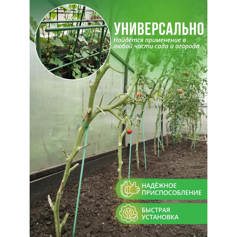Фото 4 Колышки композитные Мегарост для комнатных цветов и растений d 6мм 60см 15шт Фото 4 Колышки композитные Мегарост для комнатных цветов и растений d 6мм 60см 15шт