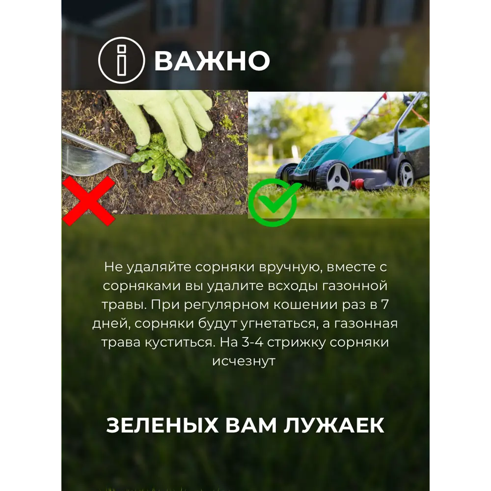 Фото 5 Смесь газонных семян Зеленый метр Универсальная 5кг