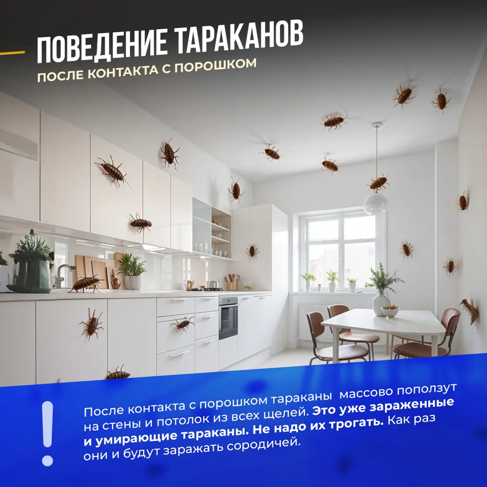 Фото 16 Средство для уничтожения тараканов и муравьев Тиурам 100 г Фото 16 Средство для уничтожения тараканов и муравьев Тиурам 100 г