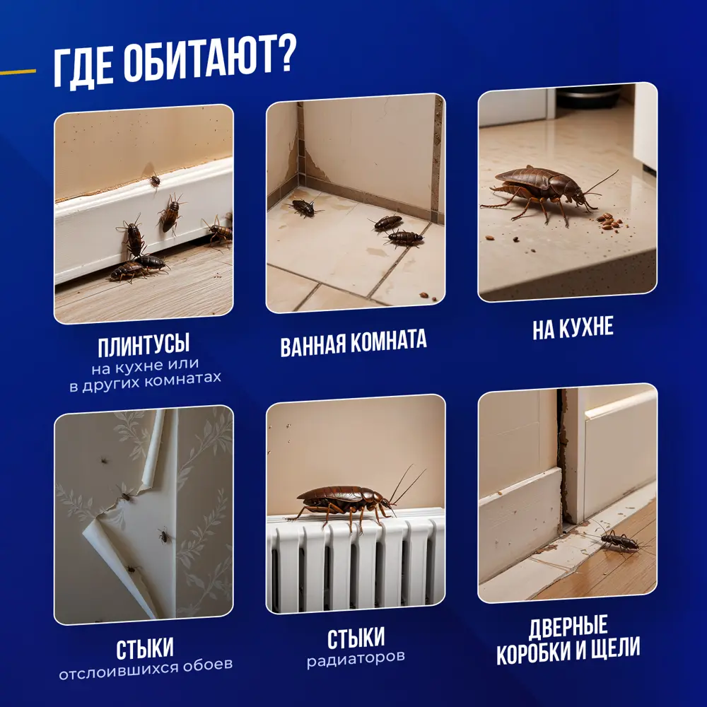 Фото 12 Средство для уничтожения тараканов и муравьев Тиурам 200 г Фото 12 Средство для уничтожения тараканов и муравьев Тиурам 200 г