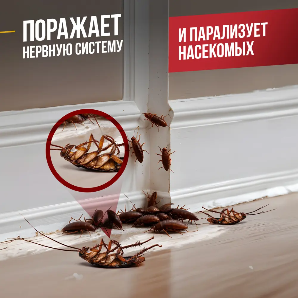 Фото 3 Средство для уничтожения тараканов и муравьев Тиурам 100 г Фото 3 Средство для уничтожения тараканов и муравьев Тиурам 100 г