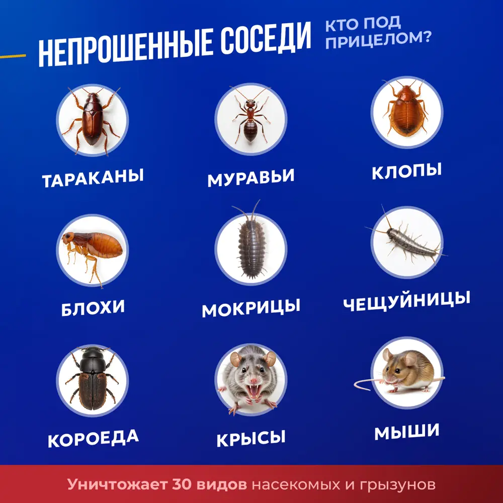 Фото 10 Средство для уничтожения тараканов и муравьев Тиурам 100 г Фото 10 Средство для уничтожения тараканов и муравьев Тиурам 100 г