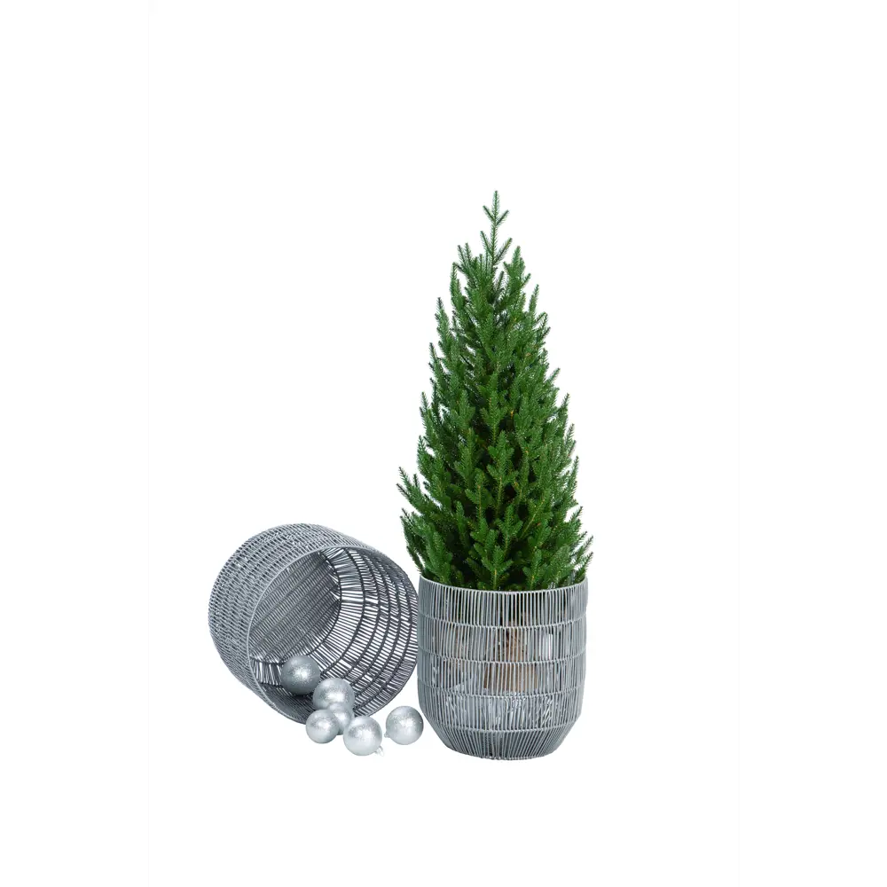 Фото 2 Искусственная елка Crystal trees KP28090 Грация 90 см Фото 2 Искусственная елка Crystal trees KP28090 Грация 90 см