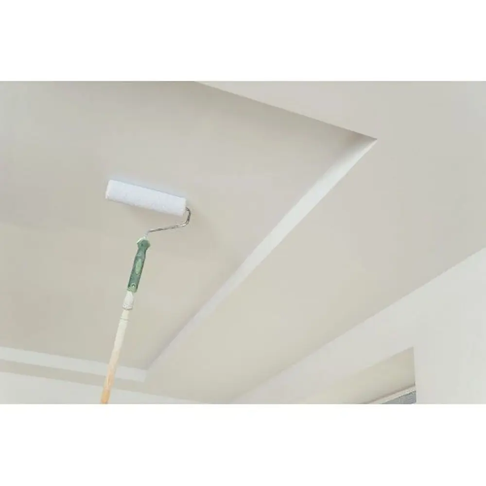 Фото 8 Краска profipaints silver interior vision цвет белый 9 л