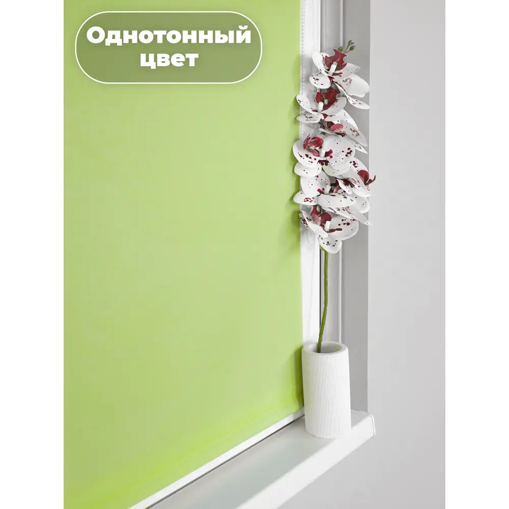 Фото 3 Рулонная штора Evoli 48x160 см цвет зелёный Фото 3 Рулонная штора Evoli 48x160 см цвет зелёный