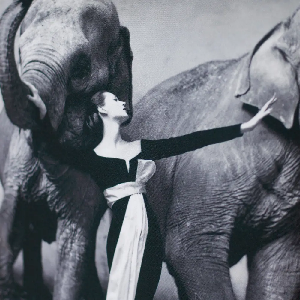 Фото Декоративная подушка Басон Басон БД/01/13-337, 40x30 см, цвет чёрный/белый