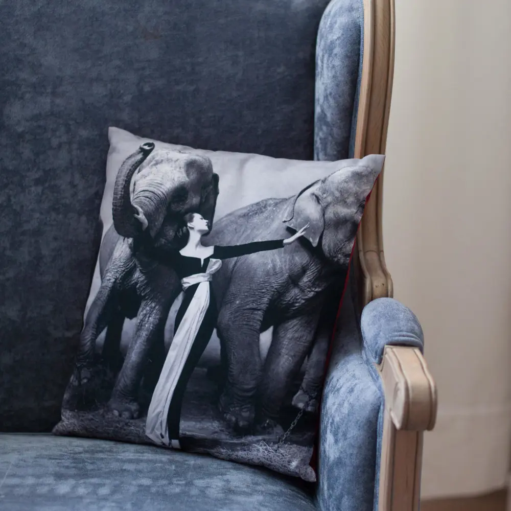 Фото 3 Декоративная подушка Басон Басон БД/01/13-337, 40x30 см, цвет чёрный/белый