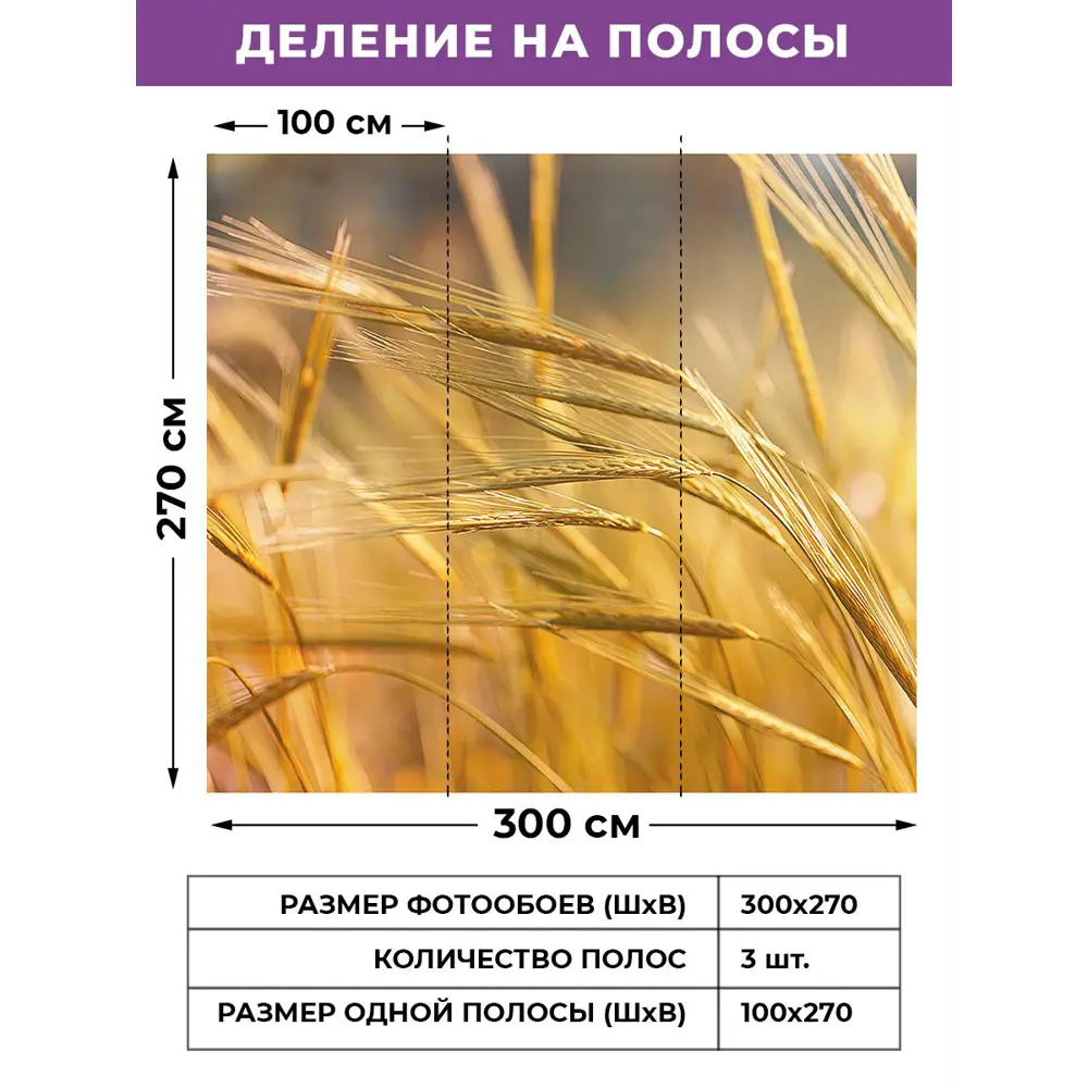 Фото 2 Фотообои флизелиновые Gustav House 3x2.7 м Колосья/3538