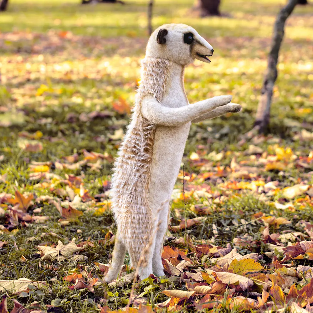 Фото 4 Плюшевая игрушка Сурикат 7871 Hansa creation 90 см цвет бежевый Фото 4 Плюшевая игрушка Сурикат 7871 Hansa creation 90 см цвет бежевый