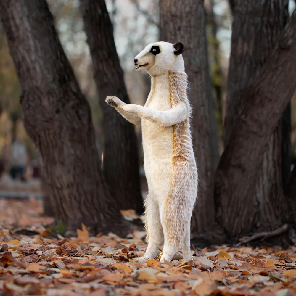 Фото 5 Плюшевая игрушка Сурикат 7871 Hansa creation 90 см цвет бежевый Фото 5 Плюшевая игрушка Сурикат 7871 Hansa creation 90 см цвет бежевый