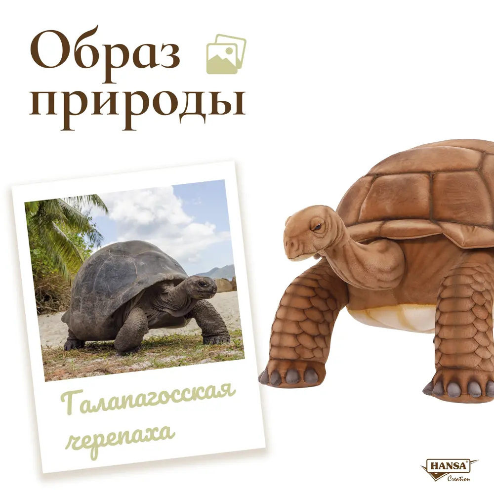 Фото 3 Плюшевая игрушка Черепаха 6469 Hansa creation 145 см цвет коричневый Фото 3 Плюшевая игрушка Черепаха 6469 Hansa creation 145 см цвет коричневый