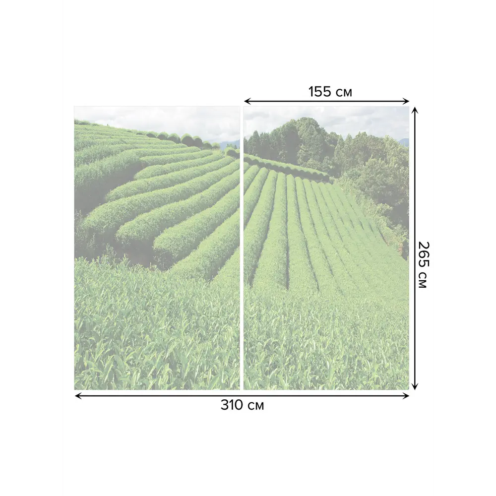 Фото 3 Тюль Joyarty на шторной ленте Кустарные волны 310x265 см рисунок природный цвет зеленый Фото 3 Тюль Joyarty на шторной ленте Кустарные волны 310x265 см рисунок природный цвет зеленый
